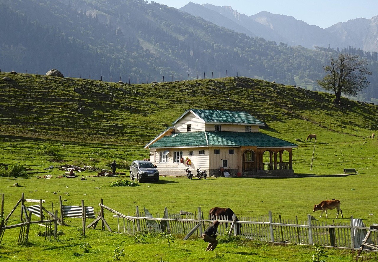 kashmir