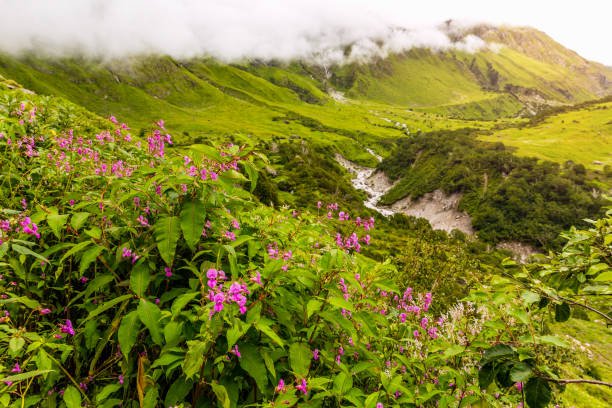 uttarakhand
